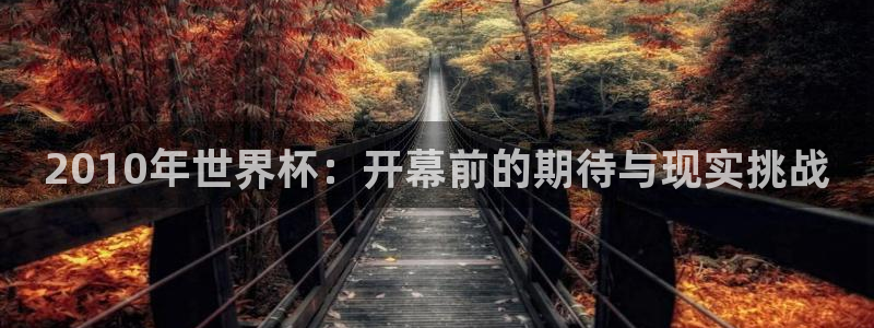 今天所有足球赛程表：2010年世界杯：开幕前的期待与现实挑战