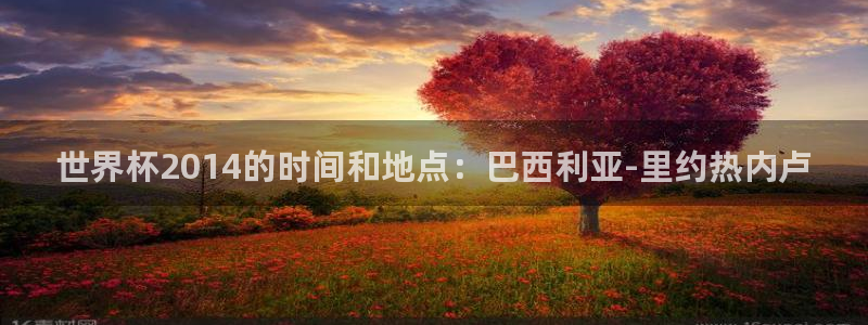 2026年世界杯赛程时间表格：世界杯2014的时间和地点：巴西利亚-里约热内卢