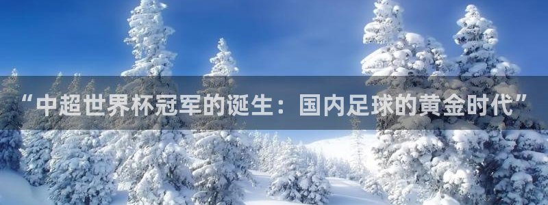 世界杯足球：“中超世界杯冠军的诞生：国内足球的黄金时代”