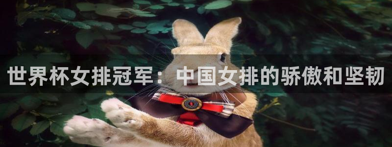 2026世预赛全部赛程：世界杯女排冠军：中国女排的骄傲和坚韧