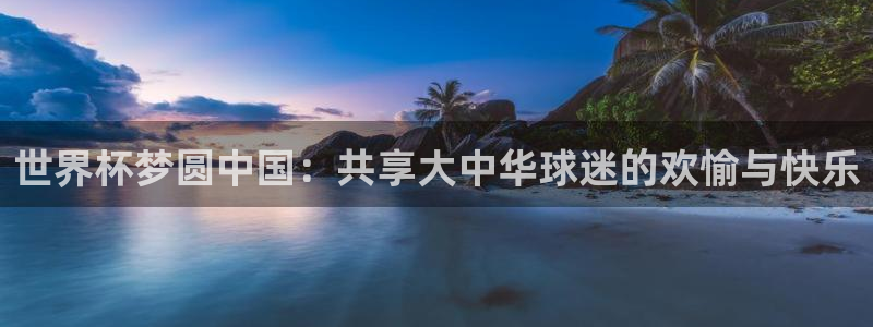 26世界杯：世界杯梦圆中国：共享大中华球迷的欢愉与快乐