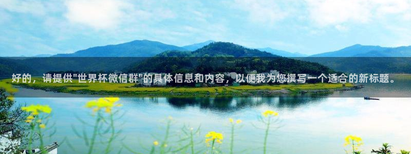 世界杯 2026：好的，请提供\