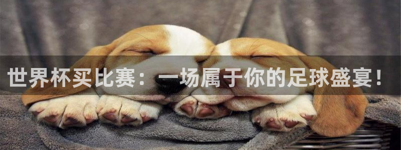 世界杯欧洲预选赛赛程：世界杯买比赛：一场属于你的足球盛宴！