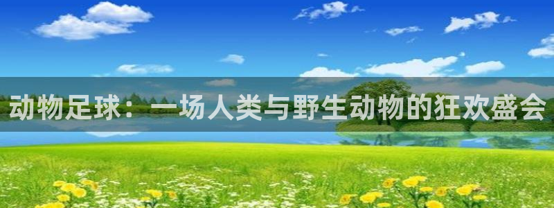 欧洲世界杯预选赛：动物足球：一场人类与野生动物的狂欢盛会