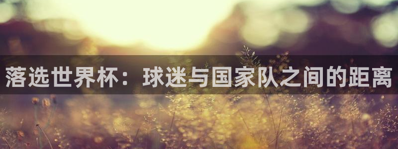世界杯欧洲区世预赛赛程：落选世界杯：球迷与国家队之间的距离