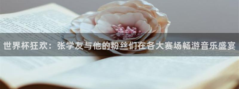 2026年世界杯直播平台：世界杯狂欢：张学友与他的粉丝们在各大赛场畅游音乐盛宴