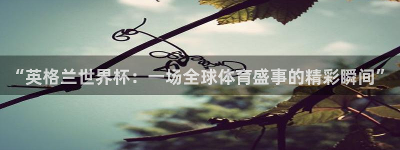 今年世界杯：“英格兰世界杯：一场全球体育盛事的精彩瞬间”