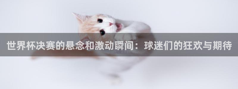亚洲杯足球：世界杯决赛的悬念和激动瞬间：球迷们的狂欢与期待