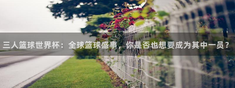世界杯直播平台：三人篮球世界杯：全球篮球盛事，你是否也想要成为其中一员？