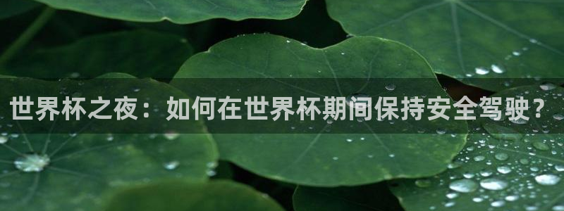 世界杯今年：世界杯之夜：如何在世界杯期间保持安全驾驶？