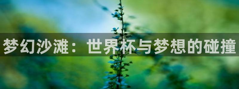2026男足世界杯：梦幻沙滩：世界杯与梦想的碰撞