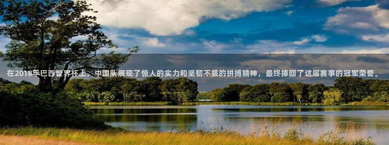2026世界杯直播免费观看：在2018年巴西世界杯上，中国队展现了惊人的实力和坚韧不拔的拼搏精神，最终捧回了这届赛事的冠军荣誉。